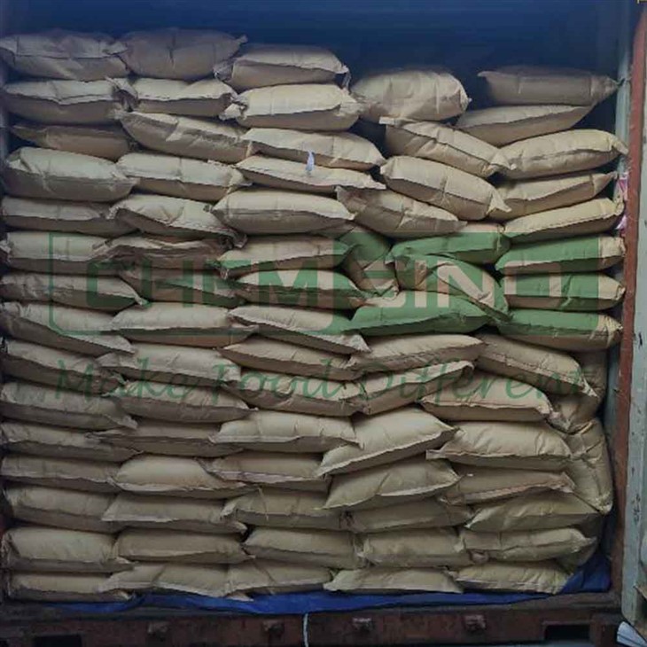 GMS 60 Powder Glyceryl Monostearate 60 Powder For Cheese CAS No.31566-31-1