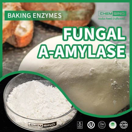 Chanpiyon Alpha-Amylase: Aplikasyon nan pwodiksyon biocarburant ak Amelyorasyon farin