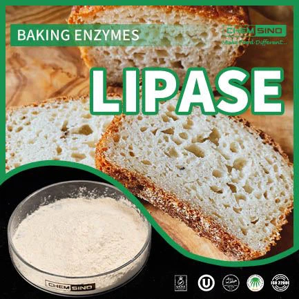 Alimente kò ou dwa: Lipase anzim pou amelyore itilizasyon eleman nitritif CAS NO.:9001-62-1