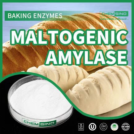 Maltogenic Amylase - Alye ki pi dous nan resèt ou a! CAS NO. 9000-92-4