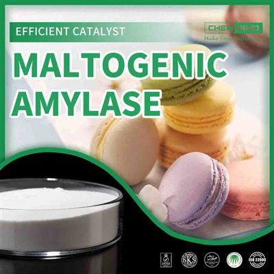 Ogmante pwofil gou: anbrase pouvwa Maltogenic Amylase.CAS NO. 9000-92-4